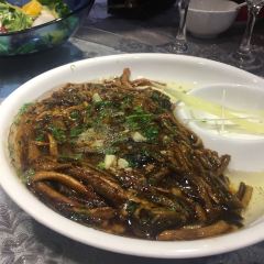 Song helou User Photo