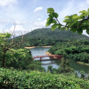 評論圖片 7