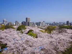 Ruderi del castello di Fukuoka