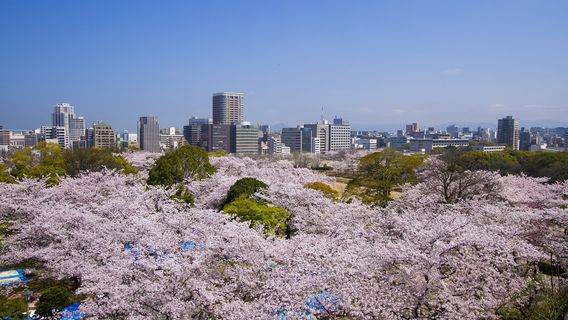 Fukuoka Castle Ruins
