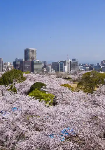 Hotels near Fukuoka Castle Ruins