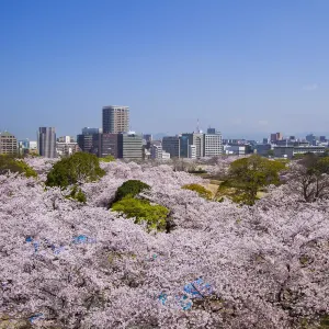 福岡城