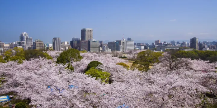 福岡城