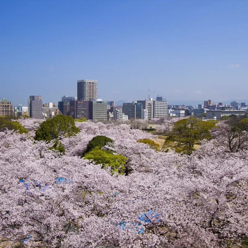 福岡城