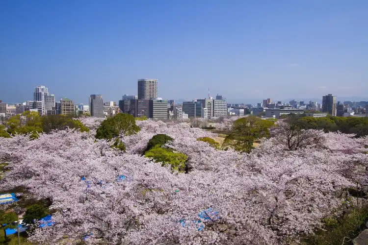 Hotels near Fukuoka Castle Ruins