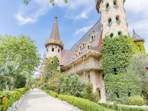 Castle of Ravadinovo