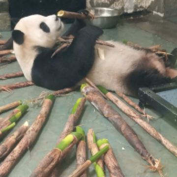 評論圖片 7