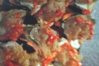 蚝爽碳烤生蚝扇贝烧烤