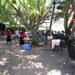 榕園張用戶圖片