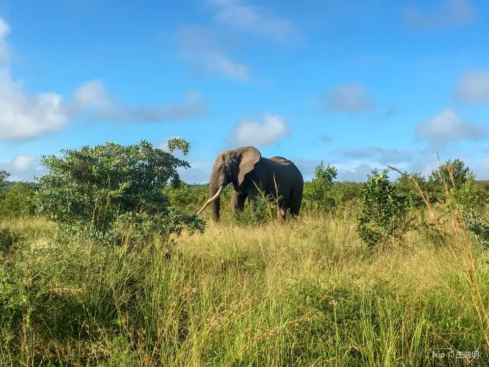 5_Kruger National Park
