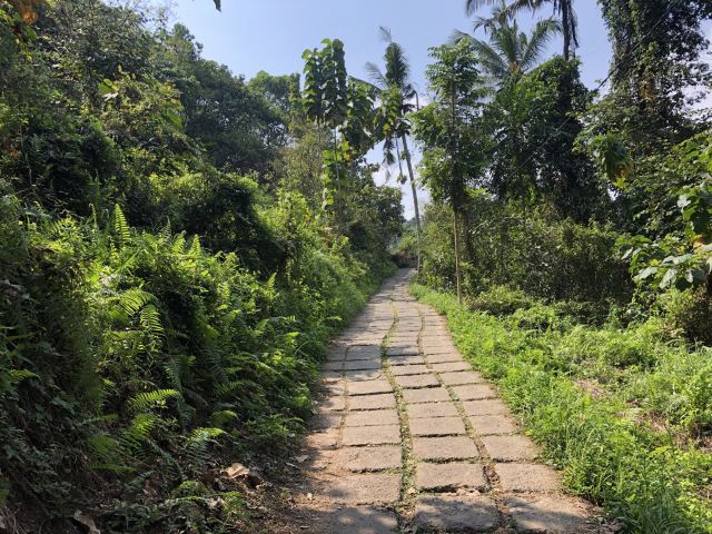 Campuhan Ridge Walk