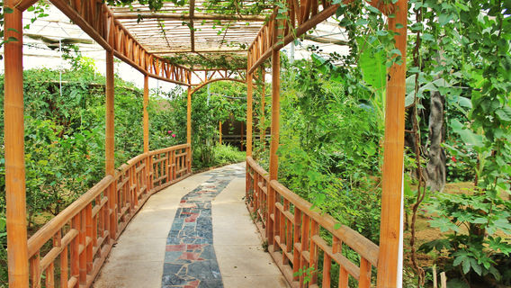 Shuijing Lake Tourist Resort