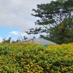 Gardenia Country Inn Restaurant User Photo