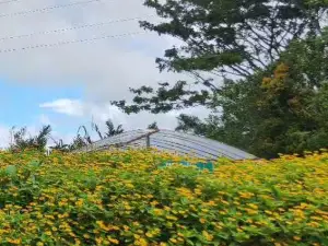 Gardenia Country Inn Restaurant