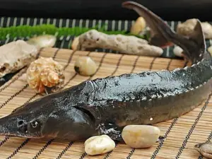 祿康雲鱒魚莊