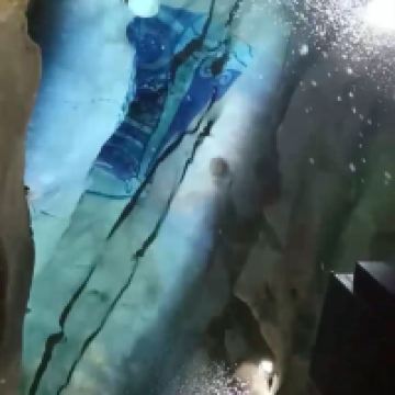 評論圖片 3