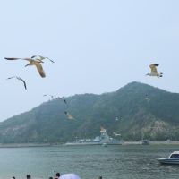 評論圖片 9