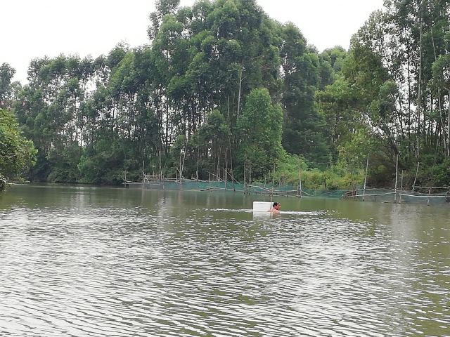 White Pagoda Park