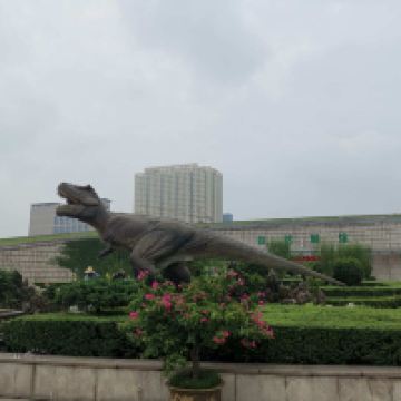 評論圖片 4