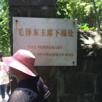 評論圖片 2