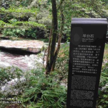 評論圖片 2