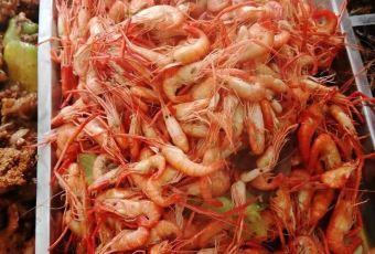 圈头淀边渔家 User Photo