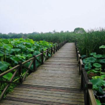 評論圖片 2