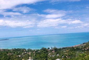 The Jungle Club Restaurant User Photo