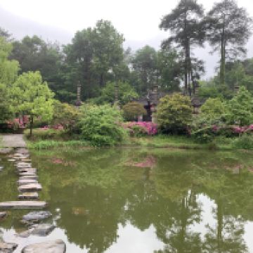 評論圖片 9