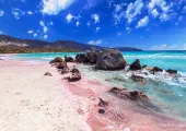 10 Rare and Beautiful Pink Sand Beaches around the World