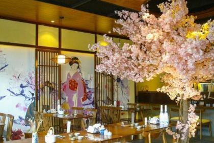 河风精致寿司(烟台路店)