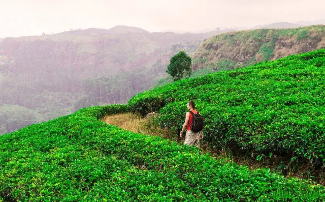 Prince Harry Joins Ctrip Group Global Partners Conference: Advancing Sustainable Travel Together
