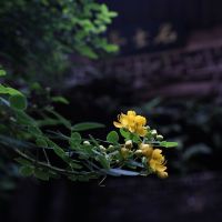 評論圖片 4