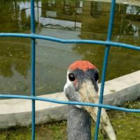 評論圖片 9