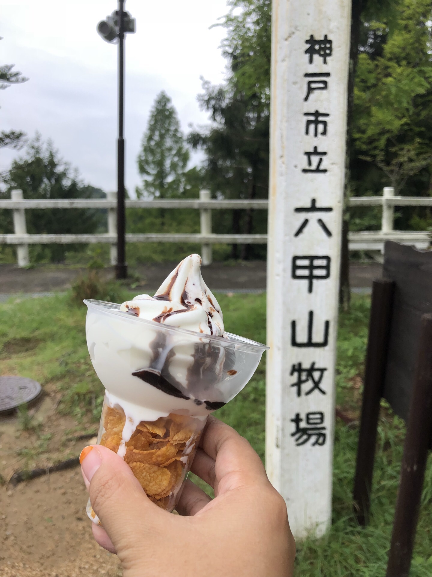 神戸 神戸市立六甲山牧場 評判 案内 トリップドットコム 神戸 神戸市立六甲山牧場 評判 案内 トリップドットコム