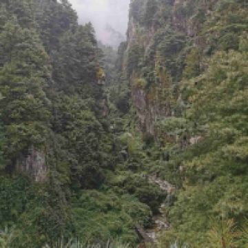 評論圖片 8