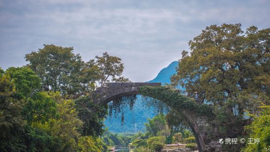 Jinlong Bridge