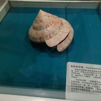 評論圖片 6