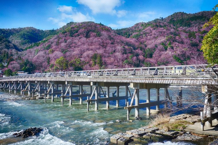 Arashiyama: Neighbourhood You Cannot Miss in Kyoto travel notes and guides – Trip.com travel guides