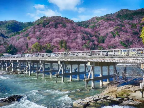 Arashiyama: Neighbourhood You Cannot Miss in Kyoto