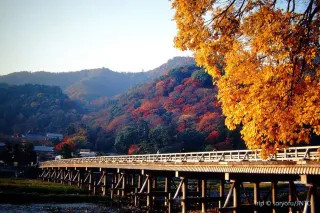 Arashiyama: Neighbourhood You Cannot Miss in Kyoto