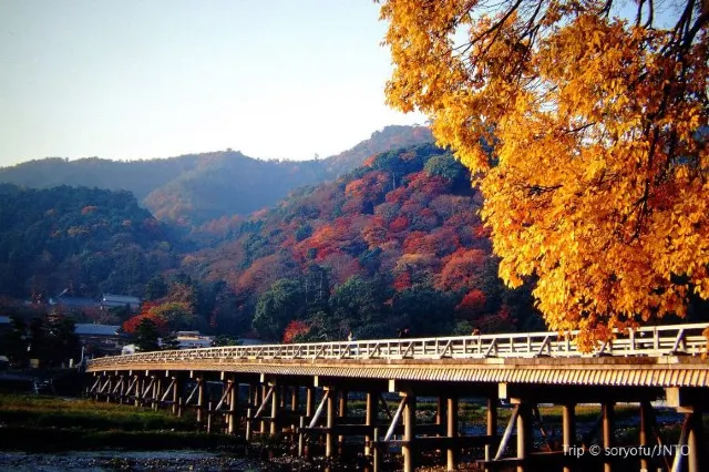 Arashiyama: Neighbourhood You Cannot Miss in Kyoto
