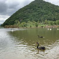 評論圖片 6