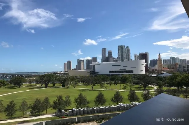 8 Meseums Worth Visiting in Miami