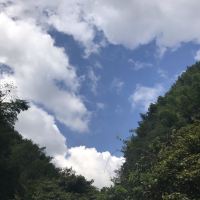評論圖片 1