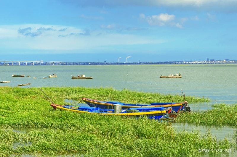 Jinjiang Wetland