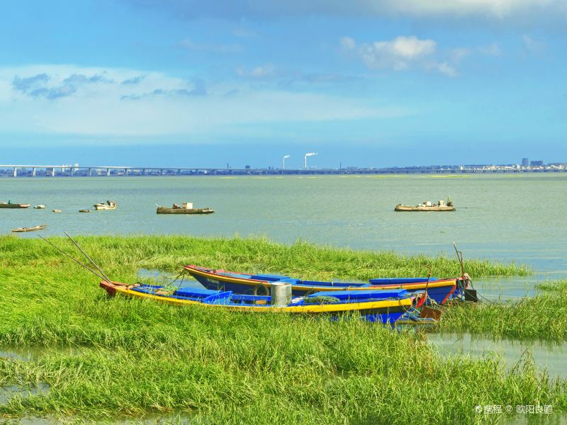 Jinjiang Wetland