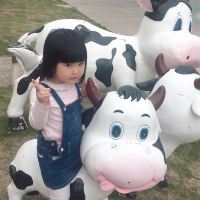 評論圖片 5