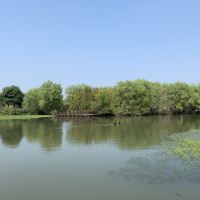 評論圖片 1