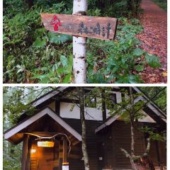 Kohi Morinotokei User Photo
